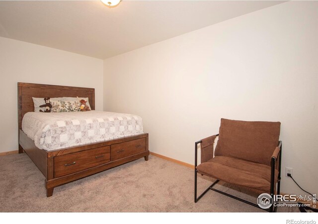 1061 Tierra Ln, Fort Collins, CO 80521 - photo 17