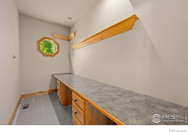 8416 Starfish Ct, Windsor, CO 80528 - unfurnished office featuring built in desk and carpet floors