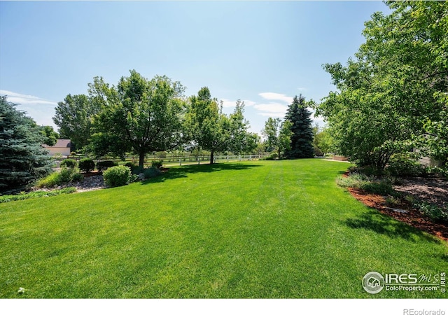 8416 Starfish Ct, Windsor, CO 80528 - view of yard
