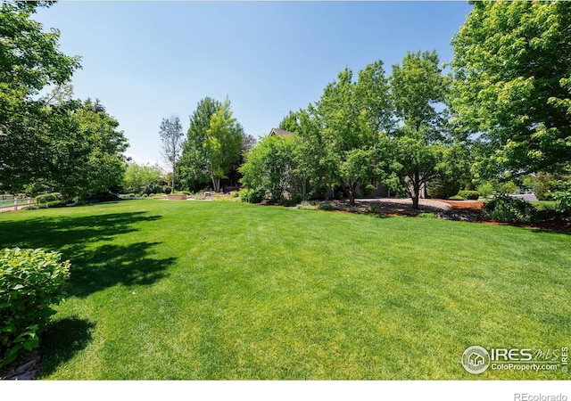 8416 Starfish Ct, Windsor, CO 80528 - view of green lawn with view of wooded area