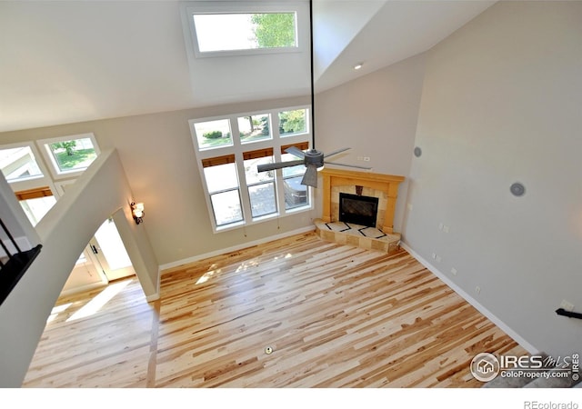 8416 Starfish Ct, Windsor, CO 80528 - photo 8