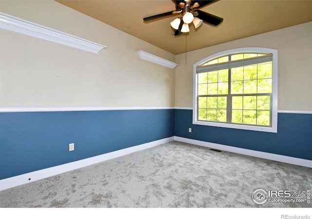 8416 Starfish Ct, Windsor, CO 80528 - photo 24