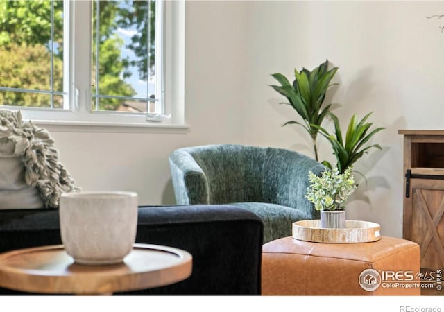 930 Vanderbilt Ct, Fort Collins, CO 80525 - view of living area