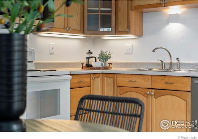 930 Vanderbilt Ct, Fort Collins, CO 80525 - kitchen with white electric range, light countertops, glass insert cabinets, and dishwashing machine