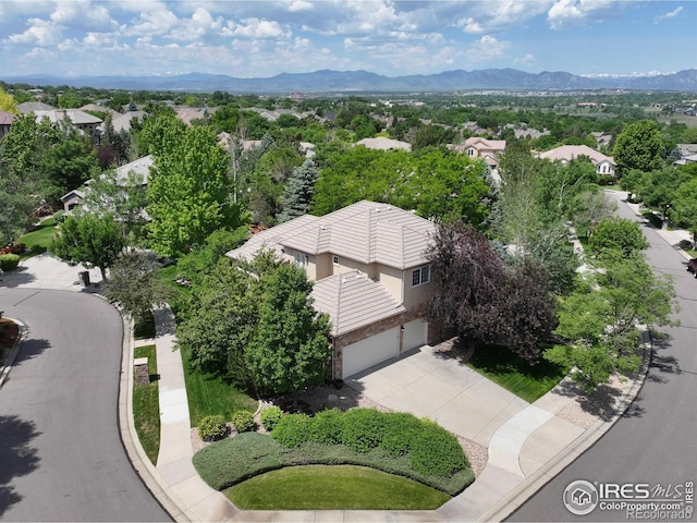 11433 Decatur Ct, Westminster, CO 80234 - photo 3
