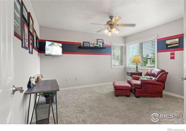 11433 Decatur Ct, Westminster, CO 80234 - photo 23