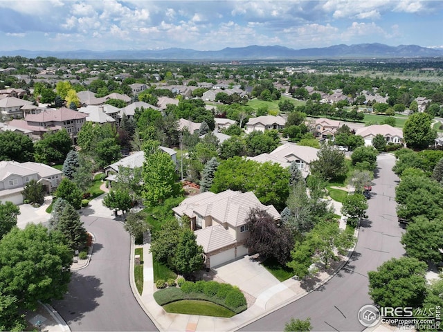 11433 Decatur Ct, Westminster, CO 80234 - photo 34