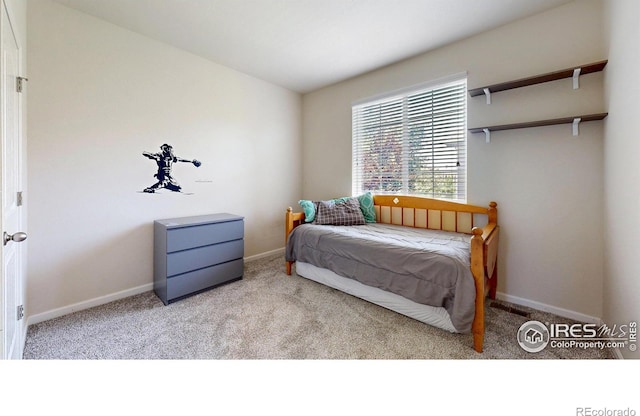 6358 Union Ave, Firestone, CO 80504 - photo 18
