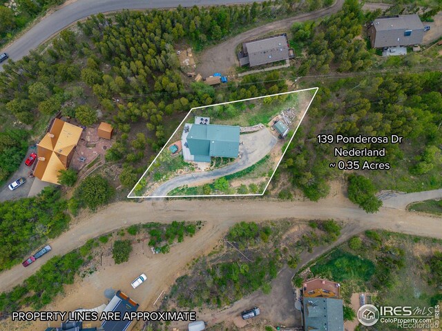 139 Ponderosa Dr, Nederland, CO 80466 - photo 7