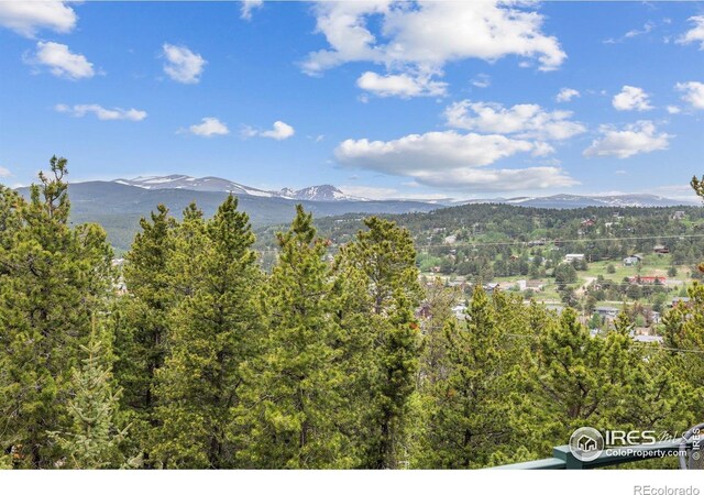 139 Ponderosa Dr, Nederland, CO 80466 - photo 10