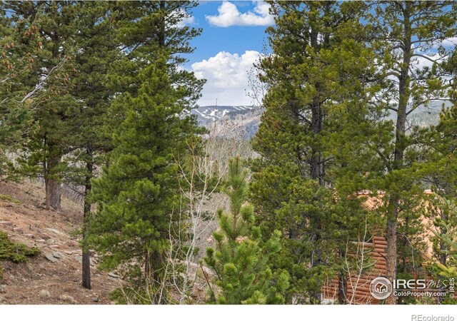 139 Ponderosa Dr, Nederland, CO 80466 - photo 13