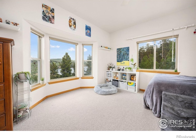 139 Ponderosa Dr, Nederland, CO 80466 - photo 20