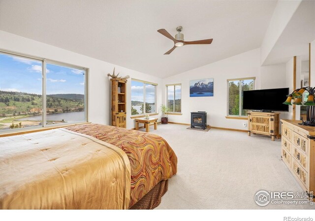 139 Ponderosa Dr, Nederland, CO 80466 - photo 28