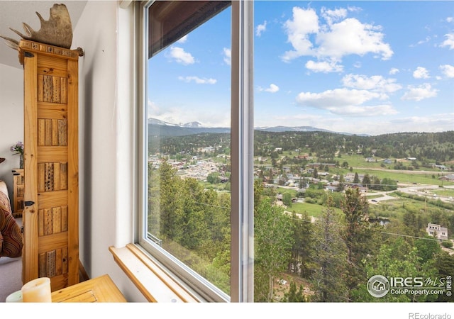 139 Ponderosa Dr, Nederland, CO 80466 - photo 29