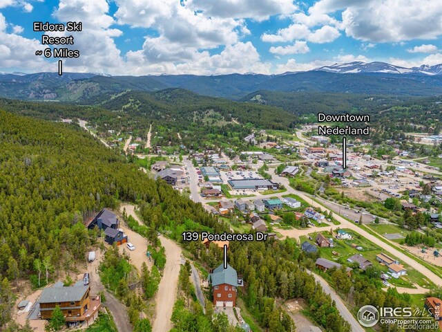 139 Ponderosa Dr, Nederland, CO 80466 - photo 37