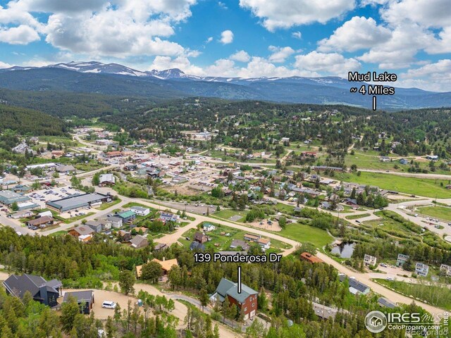 139 Ponderosa Dr, Nederland, CO 80466 - photo 38
