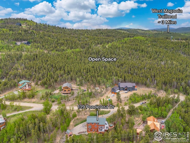 139 Ponderosa Dr, Nederland, CO 80466 - photo 39