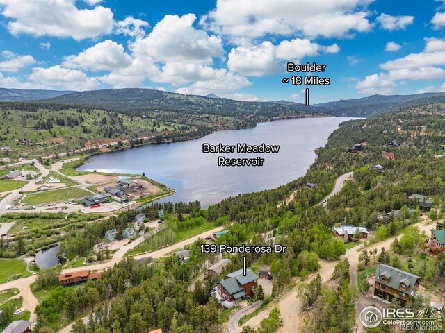 139 Ponderosa Dr, Nederland, CO 80466 - photo 40