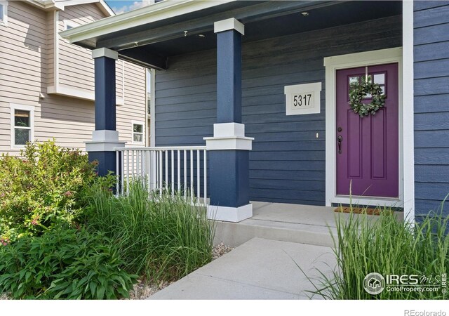 5317 School House Dr, Timnath, CO 80547 - photo 3