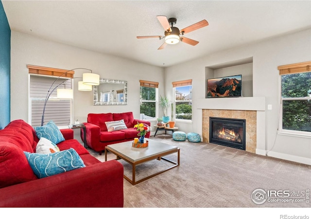 5317 School House Dr, Timnath, CO 80547 - photo 4