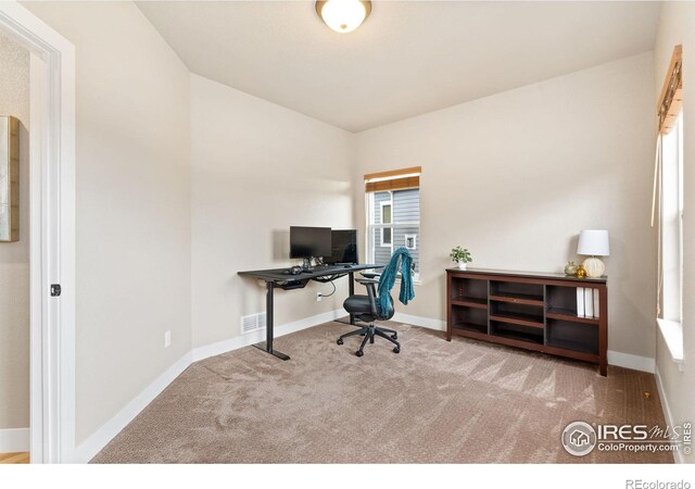 5317 School House Dr, Timnath, CO 80547 - photo 15