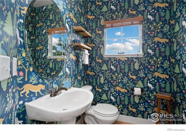 5317 School House Dr, Timnath, CO 80547 - photo 16
