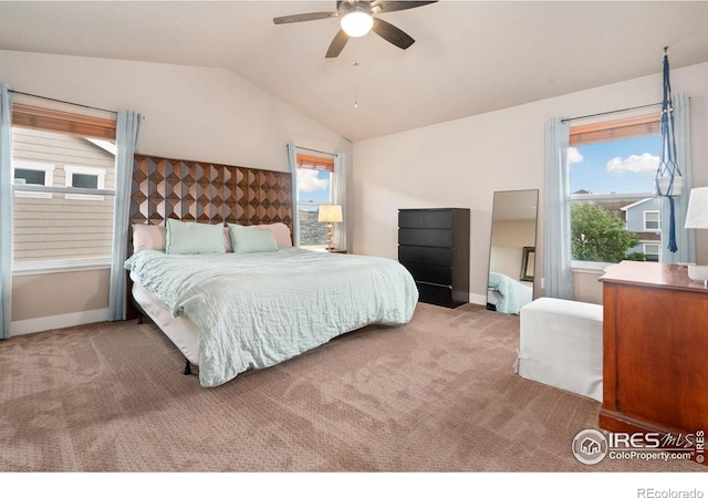 5317 School House Dr, Timnath, CO 80547 - photo 19