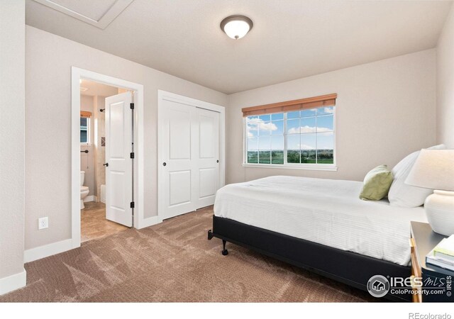 5317 School House Dr, Timnath, CO 80547 - photo 24