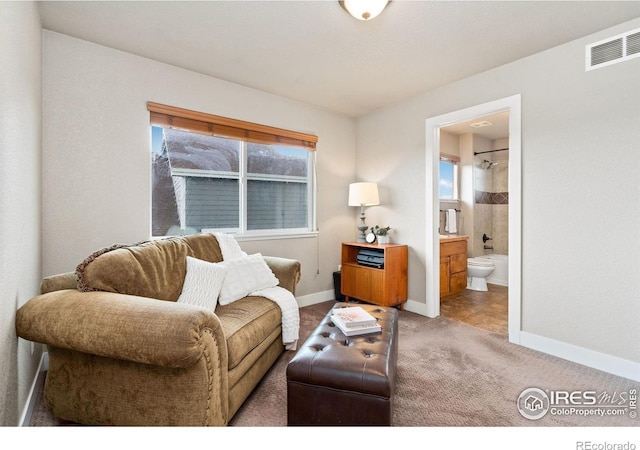 5317 School House Dr, Timnath, CO 80547 - photo 25