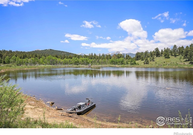 147 Saint Vrain Trl, Ward, CO 80481 - photo 29