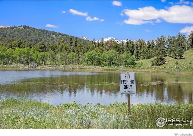 147 Saint Vrain Trl, Ward, CO 80481 - photo 30