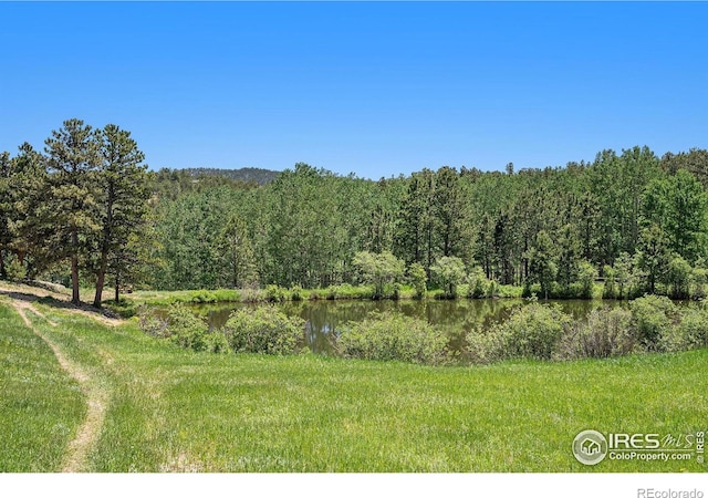 147 Saint Vrain Trl, Ward, CO 80481 - photo 28