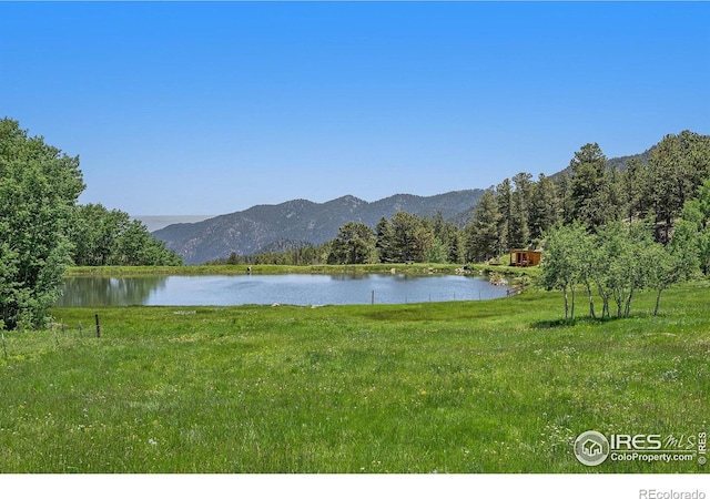 147 Saint Vrain Trl, Ward, CO 80481 - photo 31