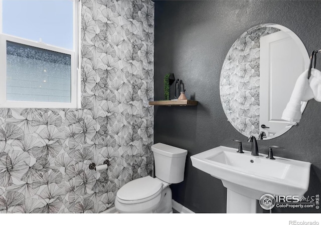 5056 Blanchette St, Timnath, CO 80547 - bathroom featuring a textured wall