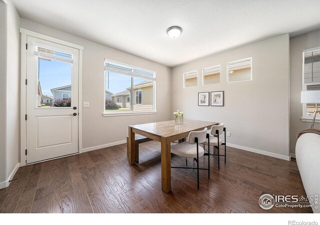 3325 Corvina Ct, Evans, CO 80634 - photo 12