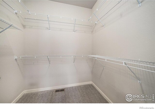 3325 Corvina Ct, Evans, CO 80634 - photo 19