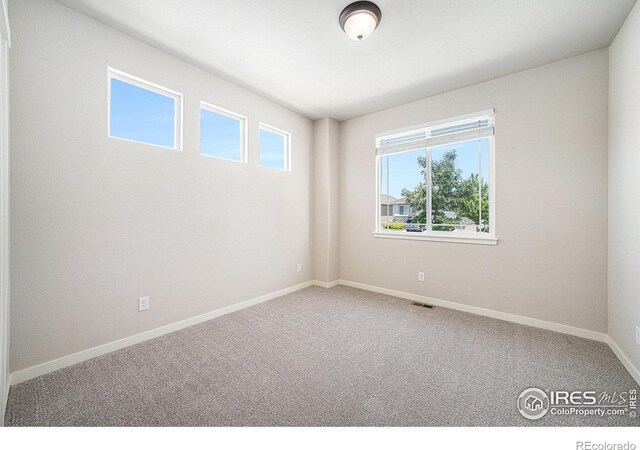 3325 Corvina Ct, Evans, CO 80634 - photo 20
