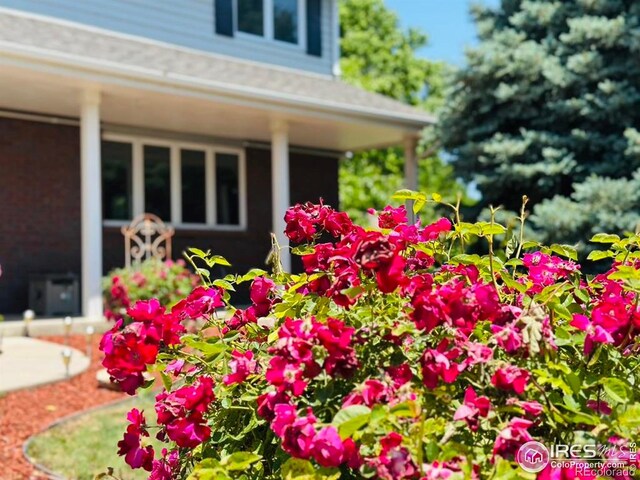 5363 W 25th St, Greeley, CO 80634 - photo 2