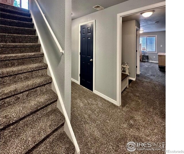 5363 W 25th St, Greeley, CO 80634 - photo 25
