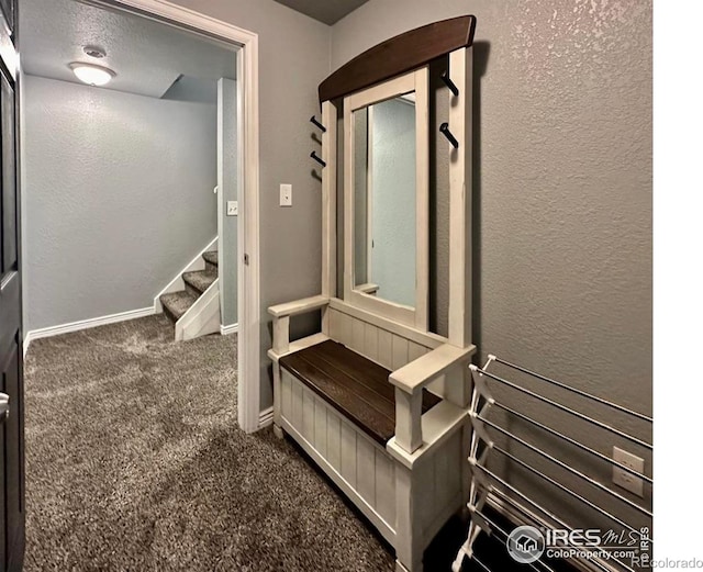 5363 W 25th St, Greeley, CO 80634 - photo 26