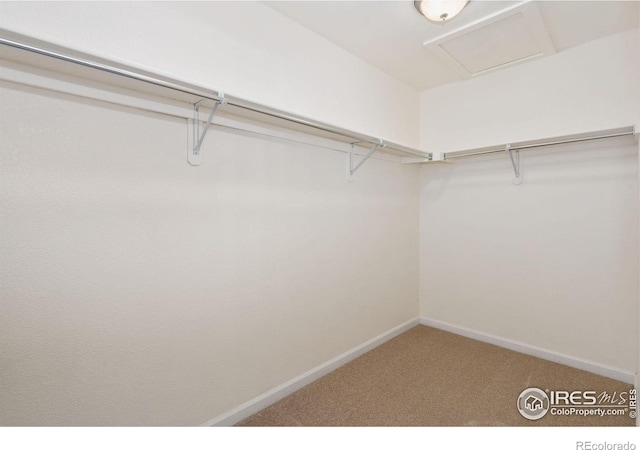 4905 Hahns Peak Dr Unit 202, Loveland, CO 80538 - spacious closet featuring carpet and attic access
