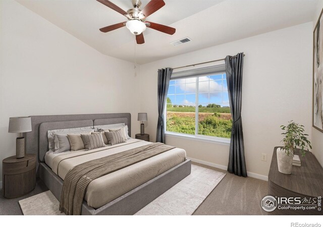 4905 Hahns Peak Dr Unit 202, Loveland, CO 80538 - carpeted bedroom with baseboards and a ceiling fan