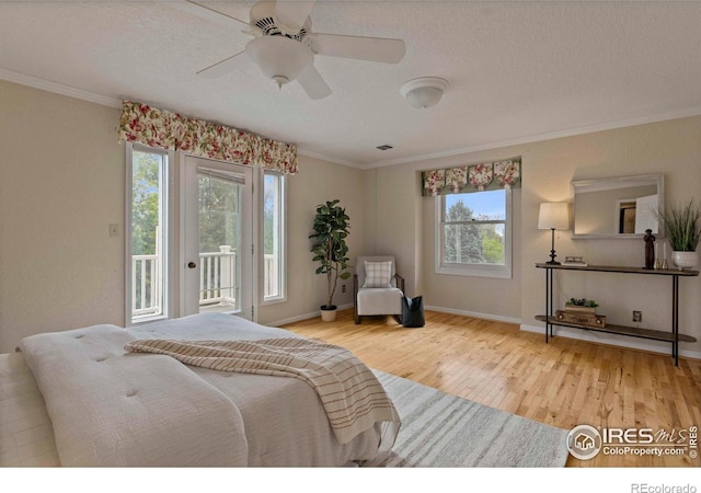 412 Terry Point Dr, Fort Collins, CO 80524 - bedroom featuring multiple windows, wood finished floors, access to exterior, ornamental molding, and a textured ceiling