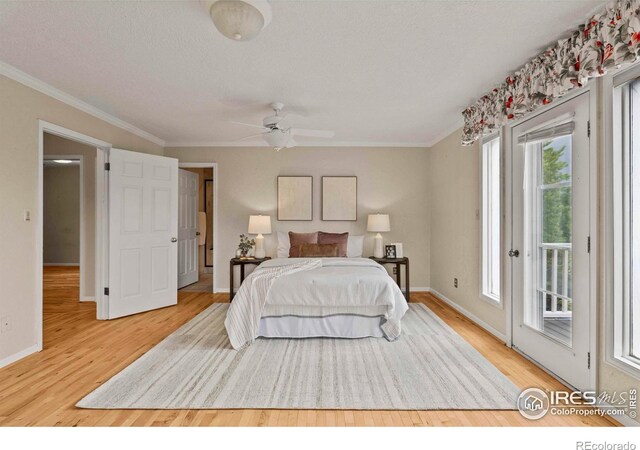 412 Terry Point Dr, Fort Collins, CO 80524 - photo 21