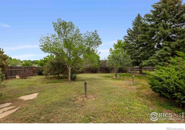 412 Terry Point Dr, Fort Collins, CO 80524 - photo 33