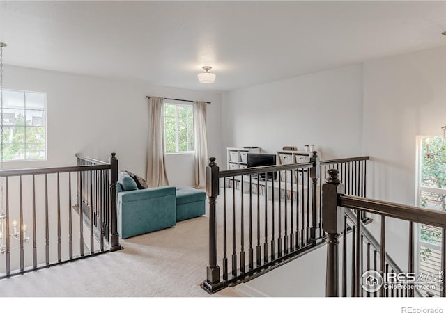8367 Devinney St, Arvada, CO 80005 - corridor with an upstairs landing and carpet floors
