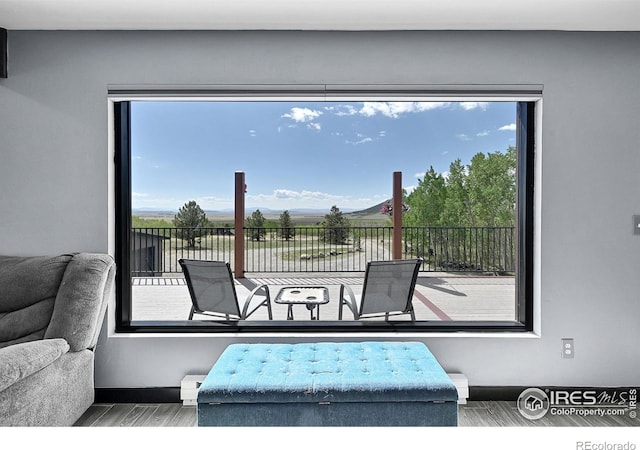 1424 Sheep Ridge Rd, Fairplay, CO 80440 - patio / terrace featuring a baseboard heating unit
