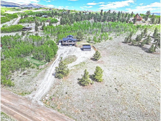 1424 Sheep Ridge Rd, Fairplay, CO 80440 - view of subject property