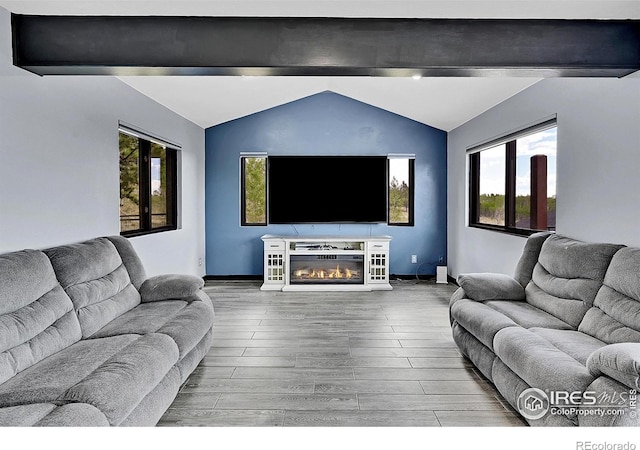 1424 Sheep Ridge Rd, Fairplay, CO 80440 - living area with wood finished floors and a glass covered fireplace