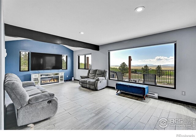 1424 Sheep Ridge Rd, Fairplay, CO 80440 - living room featuring recessed lighting, wood finished floors, a glass covered fireplace, and baseboard heating